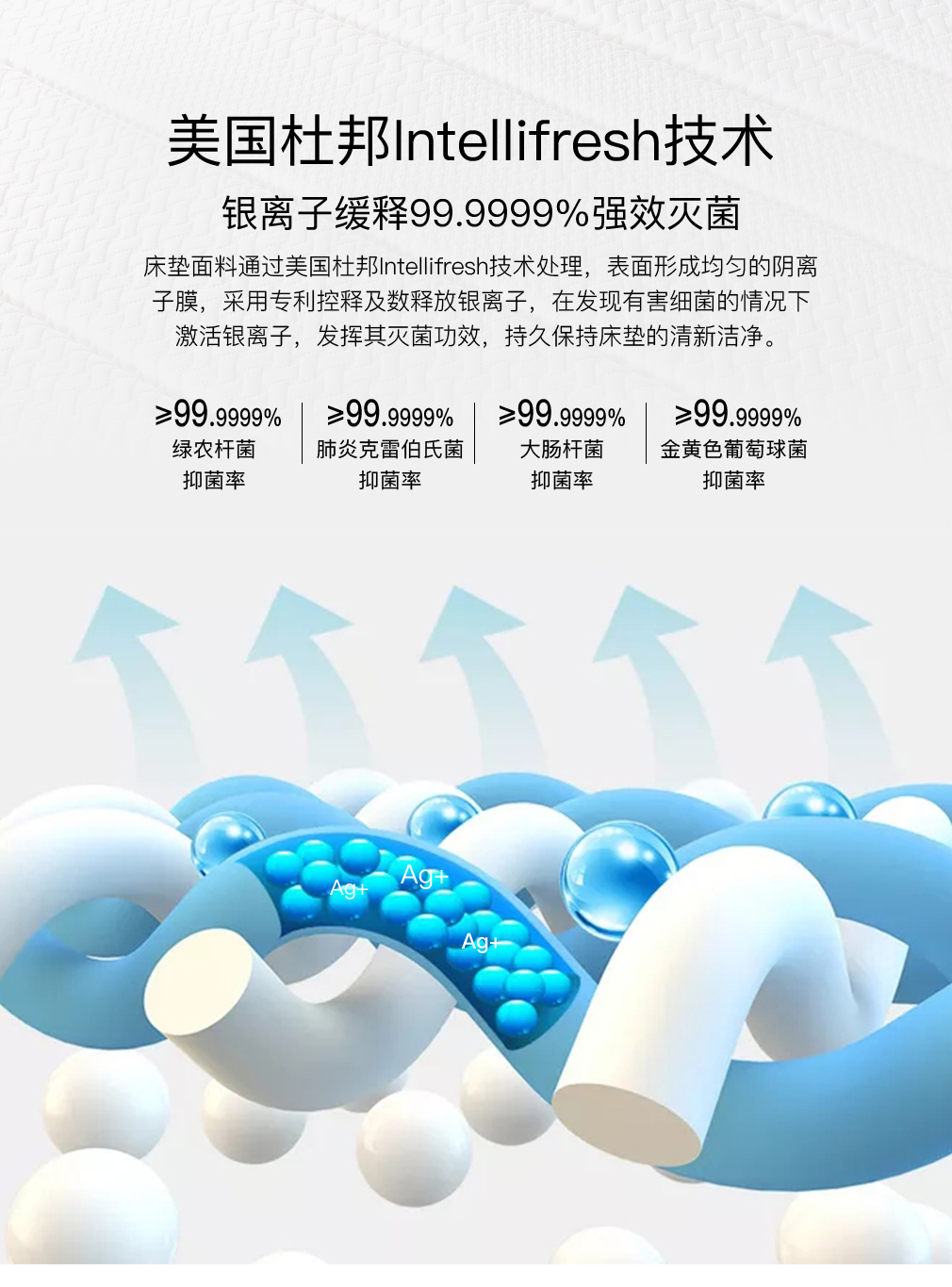 CD2014-BZ25X_05.jpg