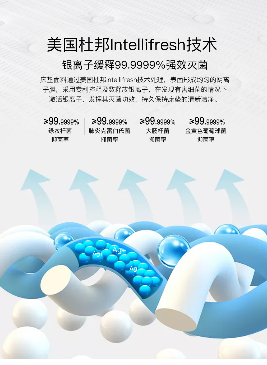 CD2018-BDR28X_04.jpg