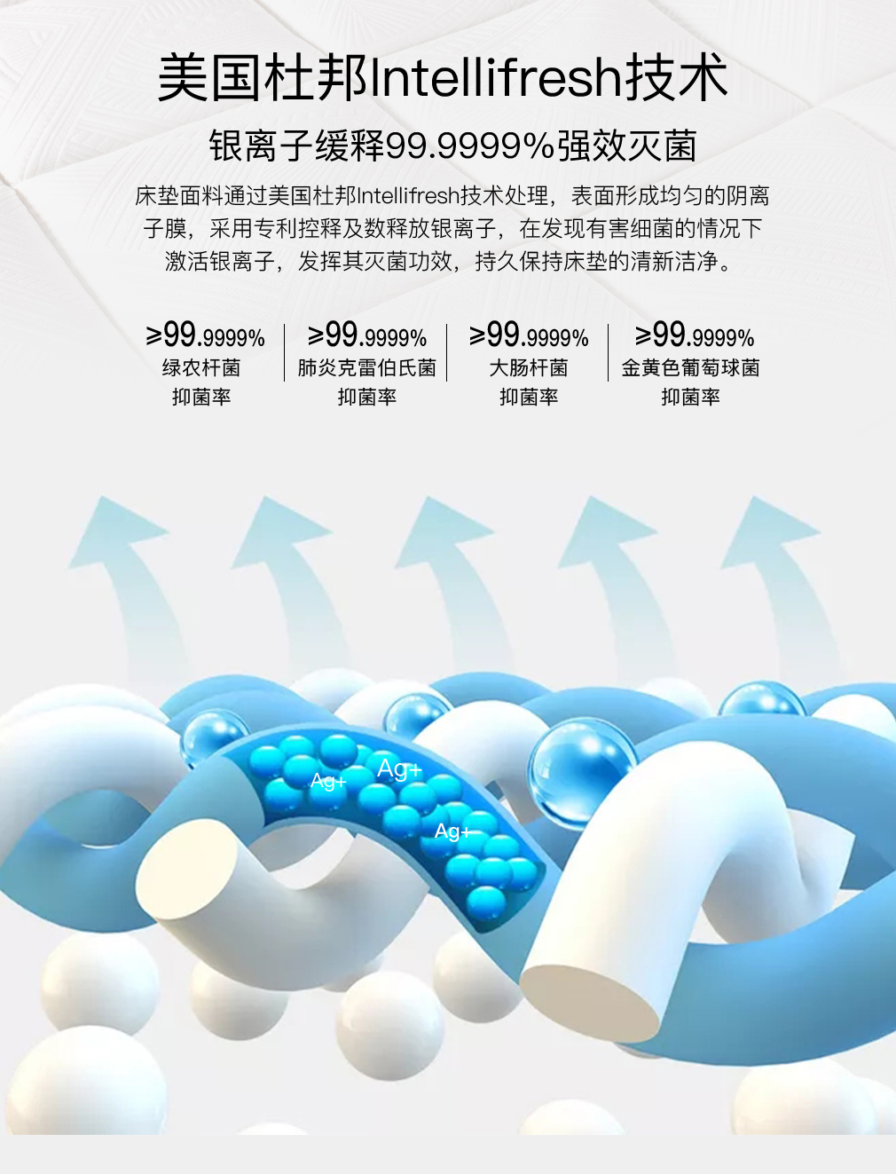 CD2019-BDR33X_04.jpg