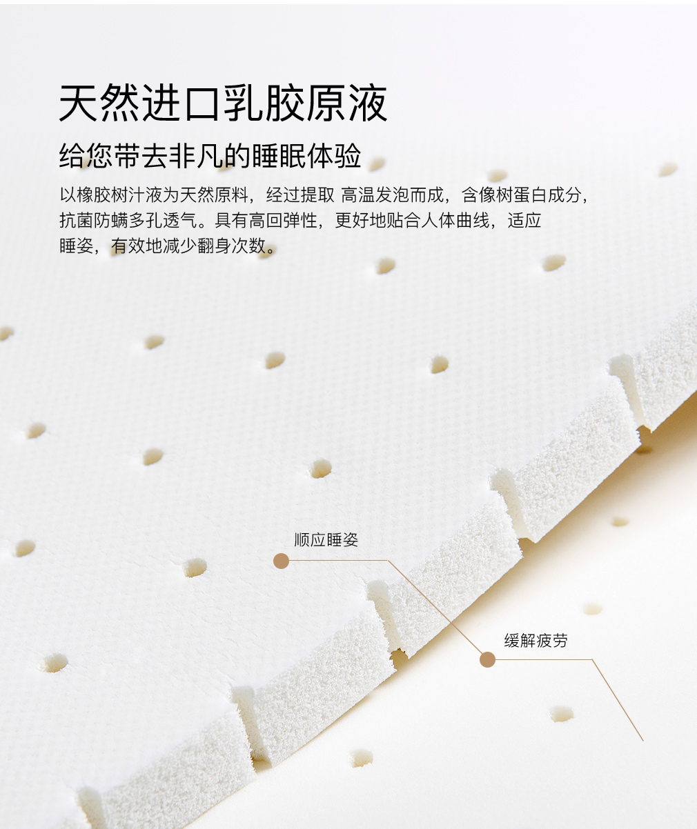 CD2019-BDR33X_07.jpg