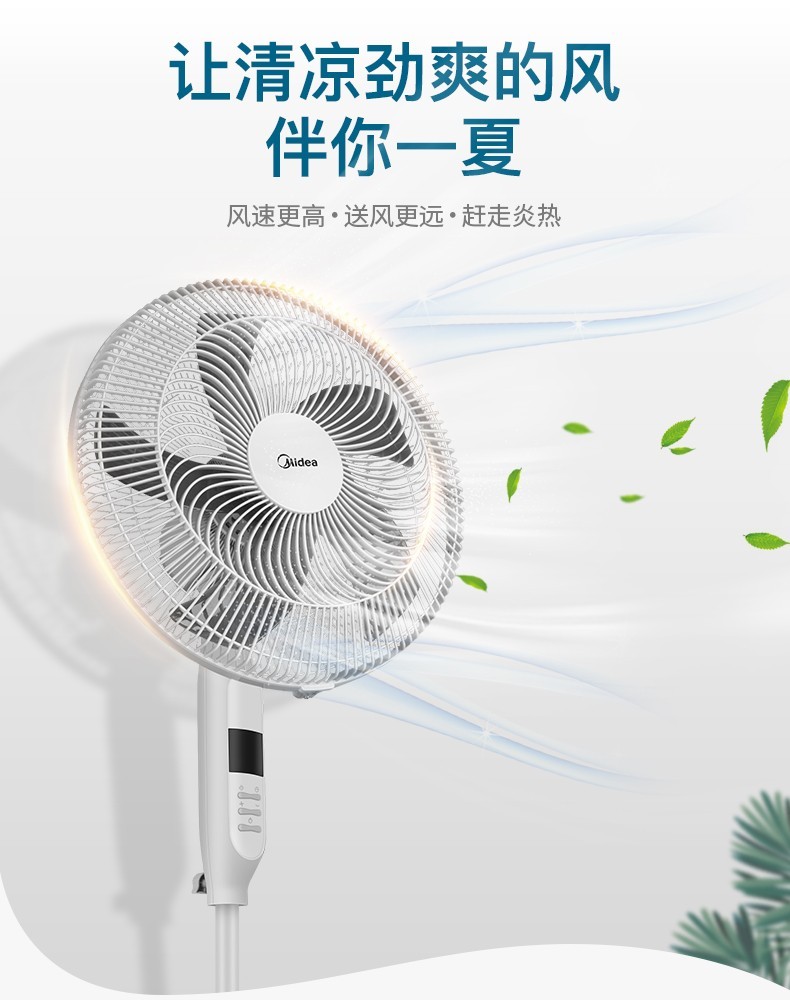 详情03.jpg