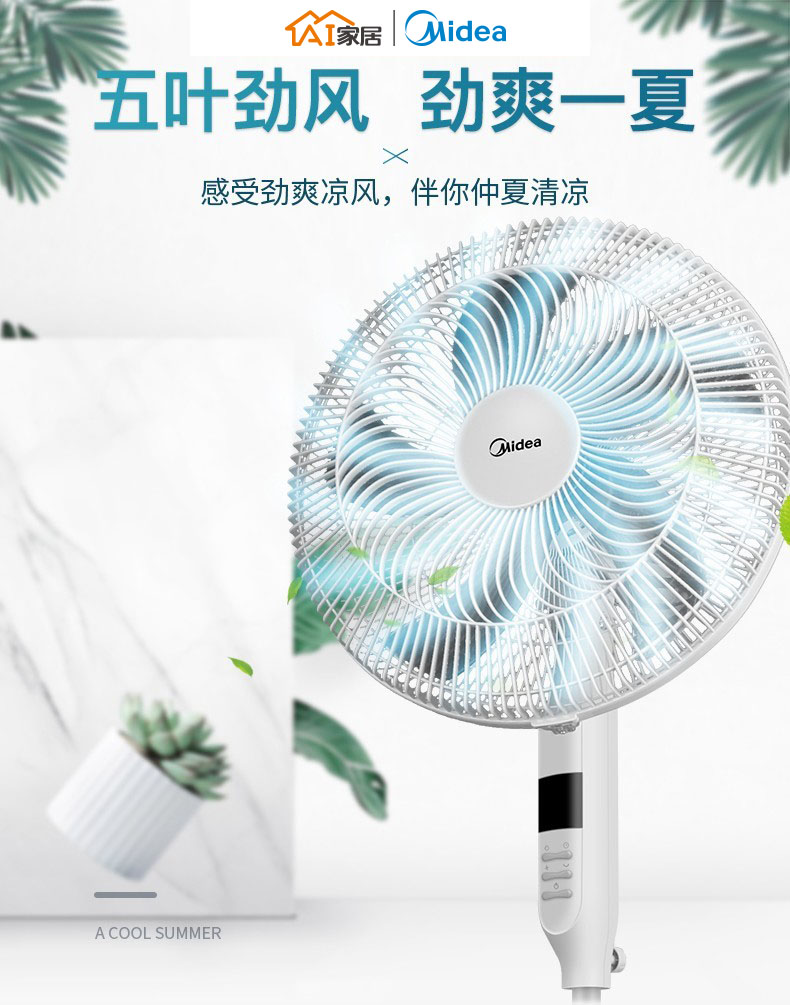 详情01.jpg