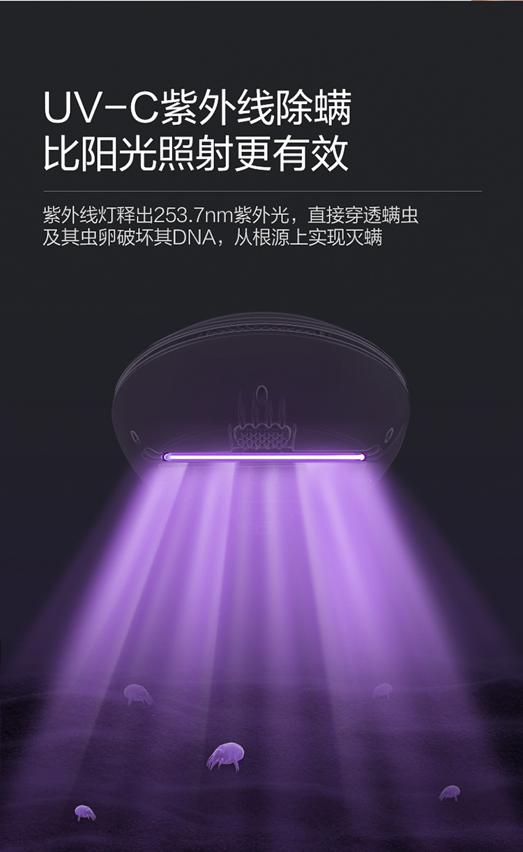详情09.jpg